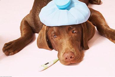 《MUBOSAMA》Steam上线 都市传说穿越冒险